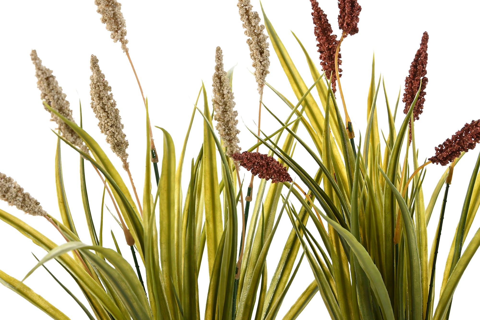 PACK DE 24 RAMA PE 10X10X43 2 SURT.