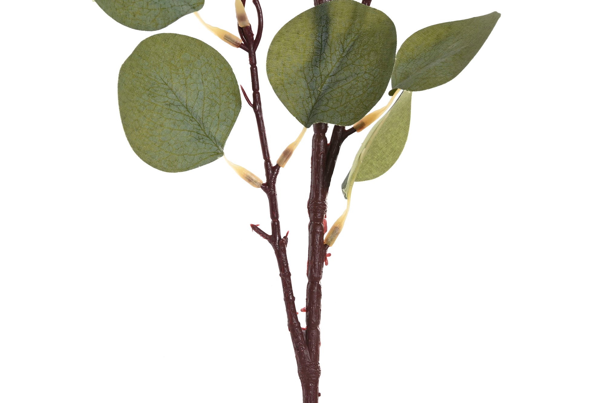 PACK DE 24 RAMA POLIESTER PE 20X20X87,5 2 SURT.