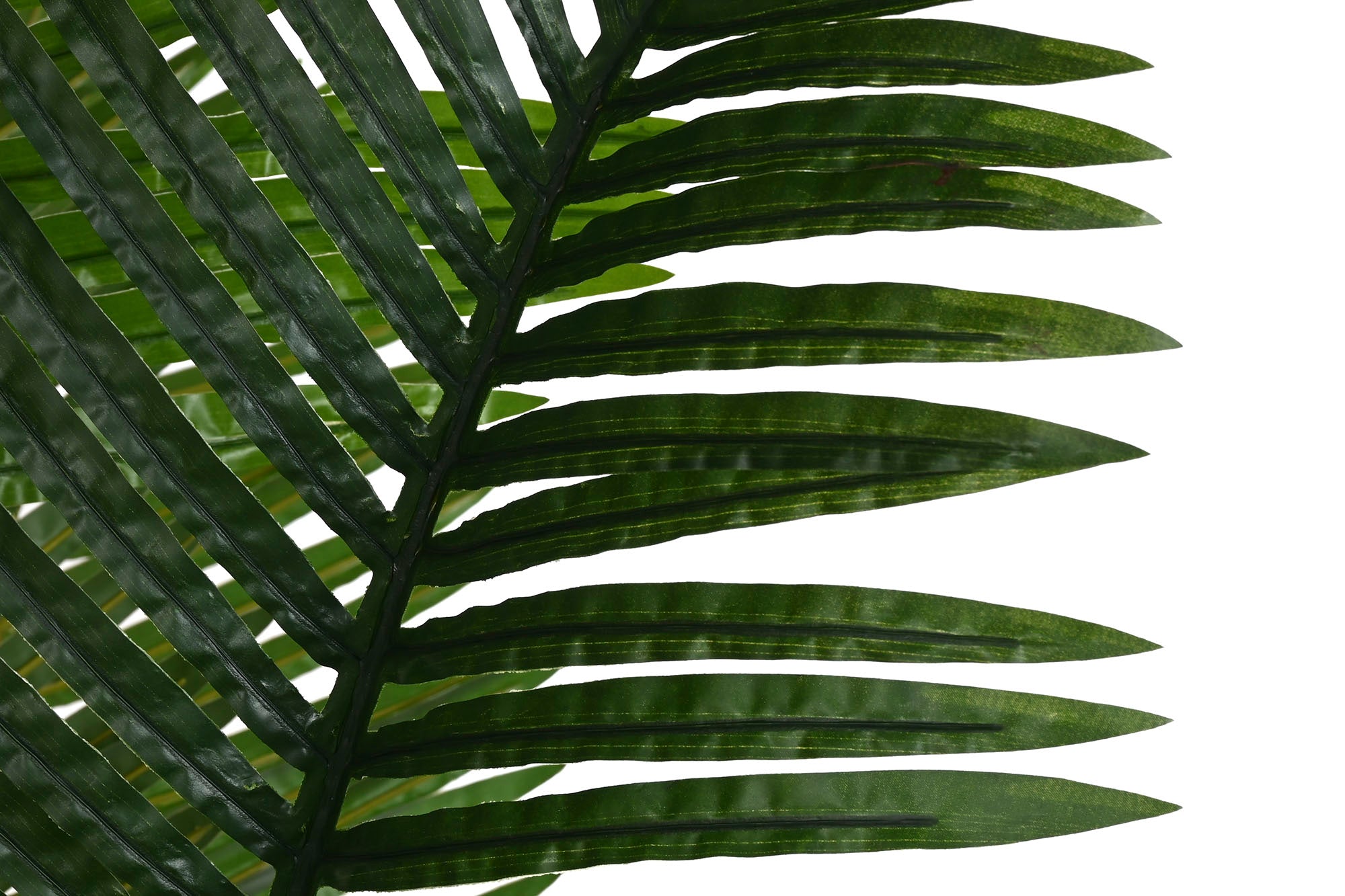 PACK DE 2 PLANTA PE 100X100X220 ARECA VERDE