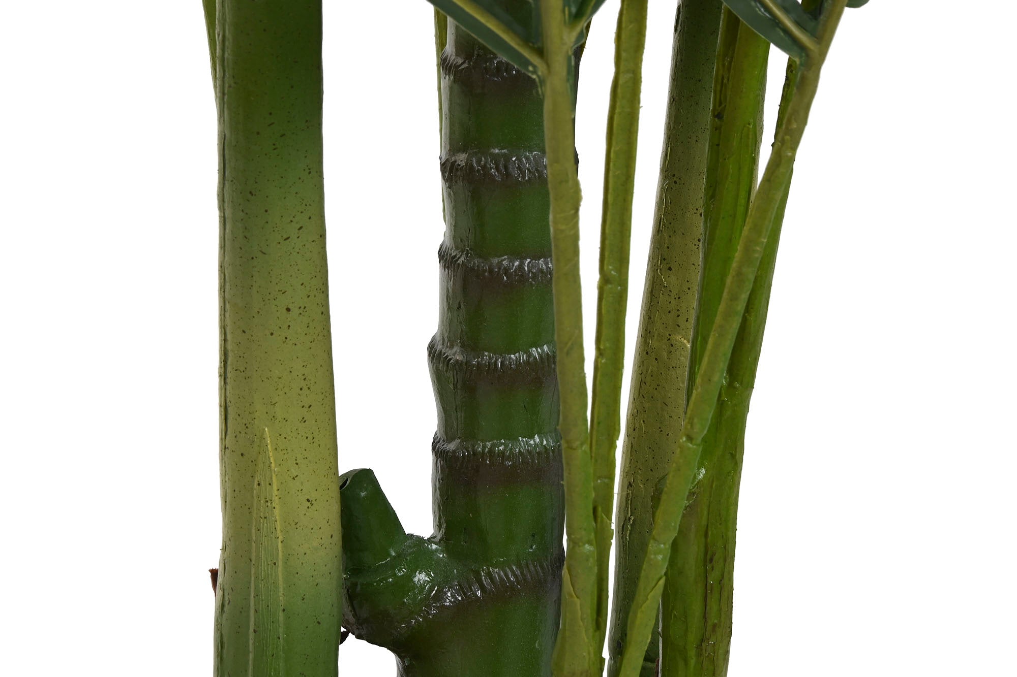 PACK DE 2 PLANTA PE 100X100X220 ARECA VERDE