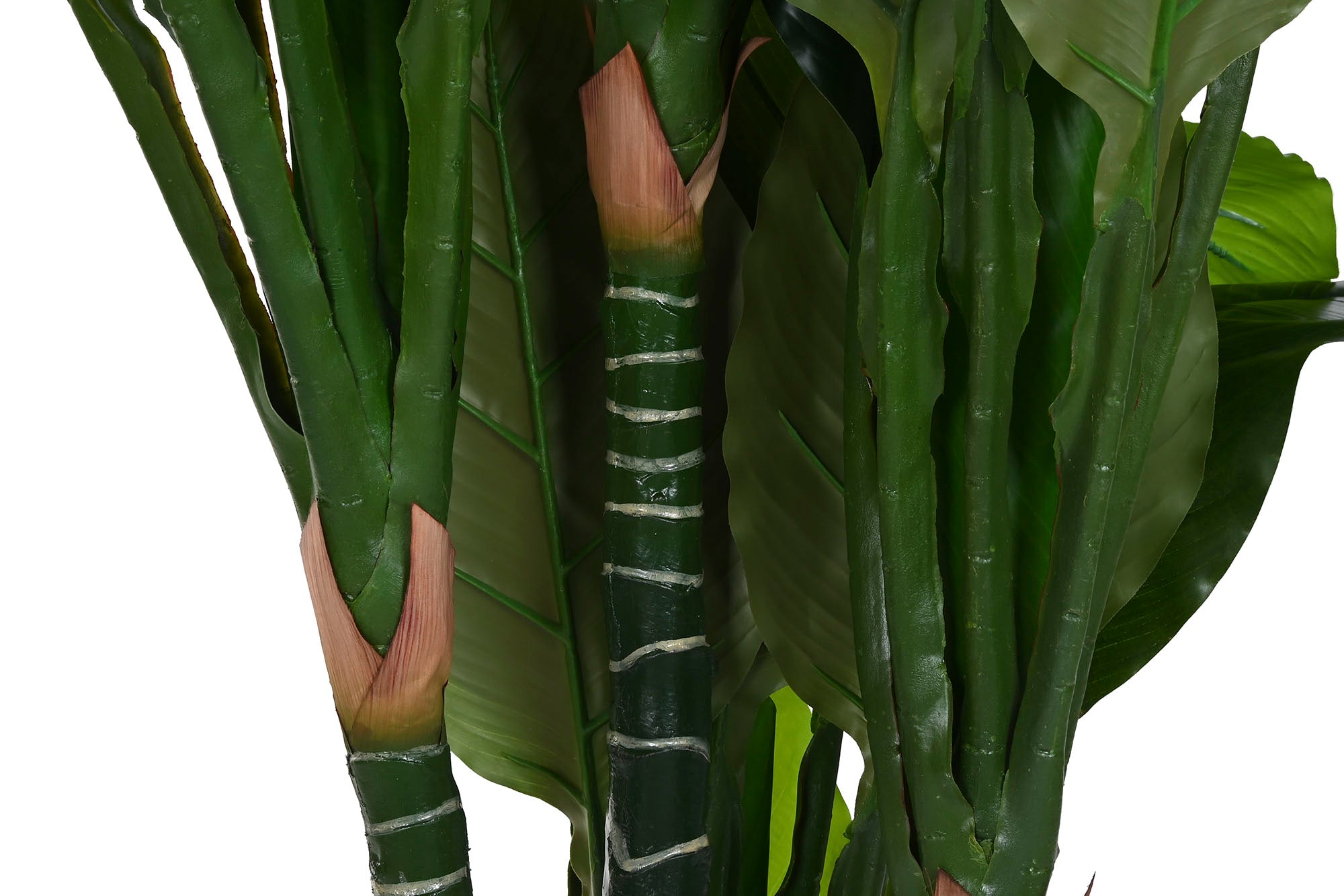 PLANTA PE 80X80X180 SPATHE VERDE