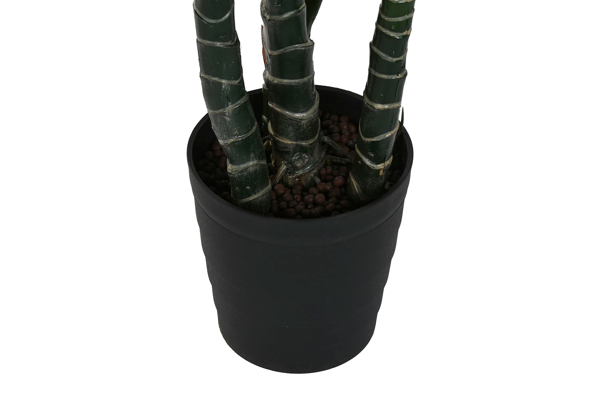 PLANTA PE 80X80X180 SPATHE VERDE