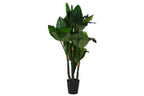PLANTA PE 80X80X180 SPATHE VERDE