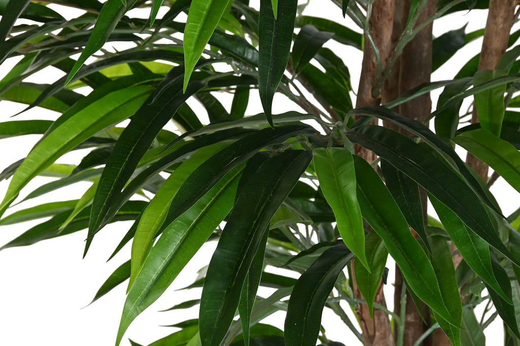 PACK DE 2 PLANTA PE 100X100X180 FICUS VERDE