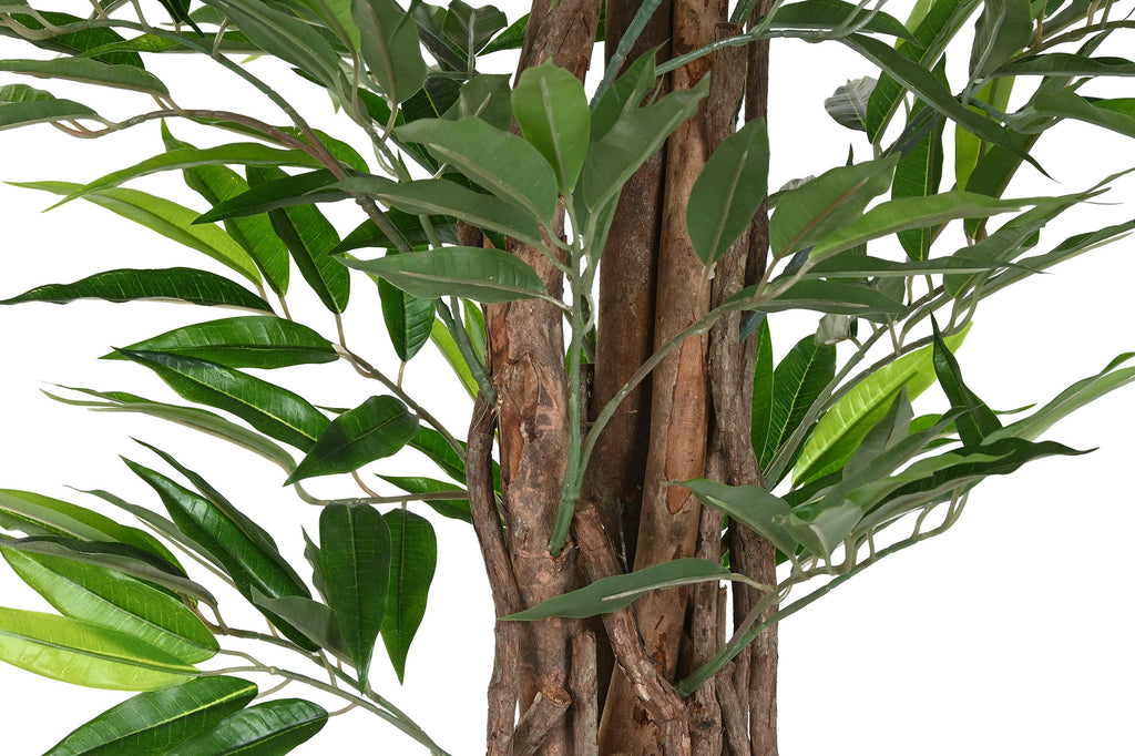 PACK DE 2 PLANTA PE 100X100X180 FICUS VERDE