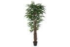 PACK DE 2 PLANTA PE 100X100X180 FICUS VERDE