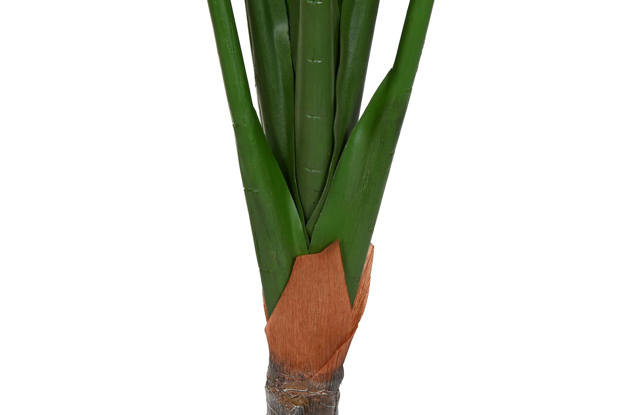 PLANTA PE 80X80X180 TARO VERDE