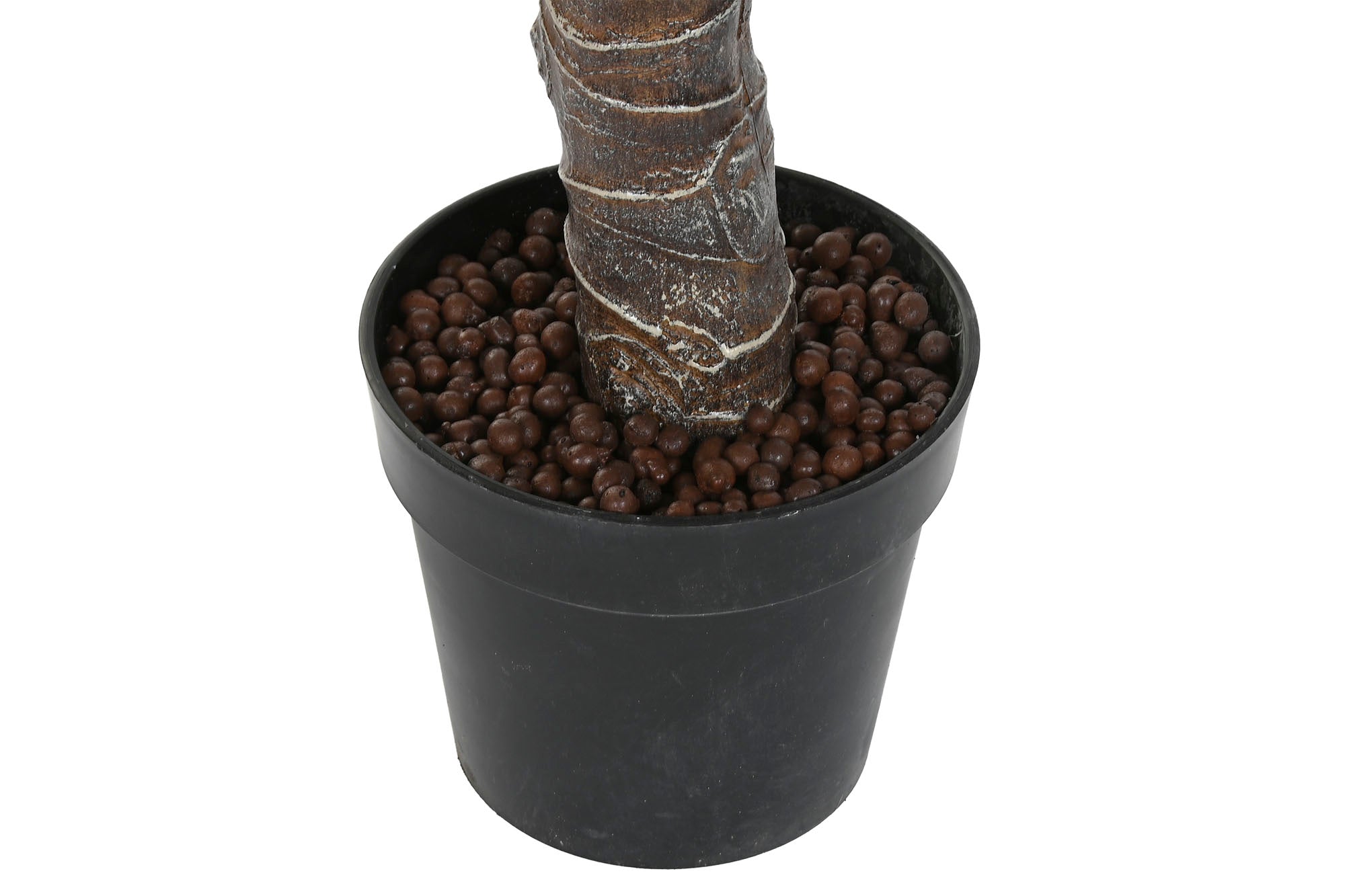 PLANTA PE 80X80X180 TARO VERDE