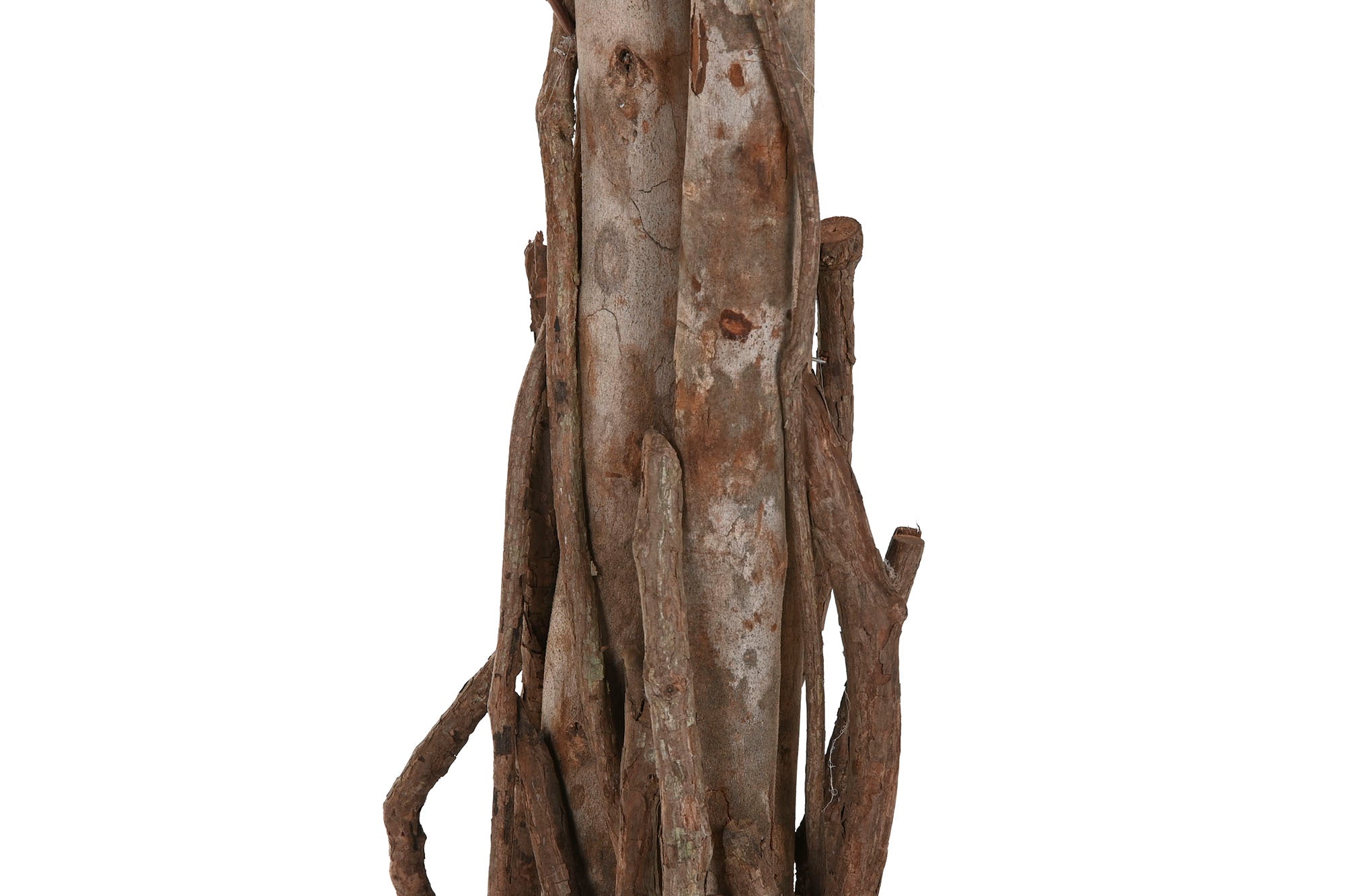 PACK DE 2 PLANTA PE MADERA 80X80X150 FICUS VERDE