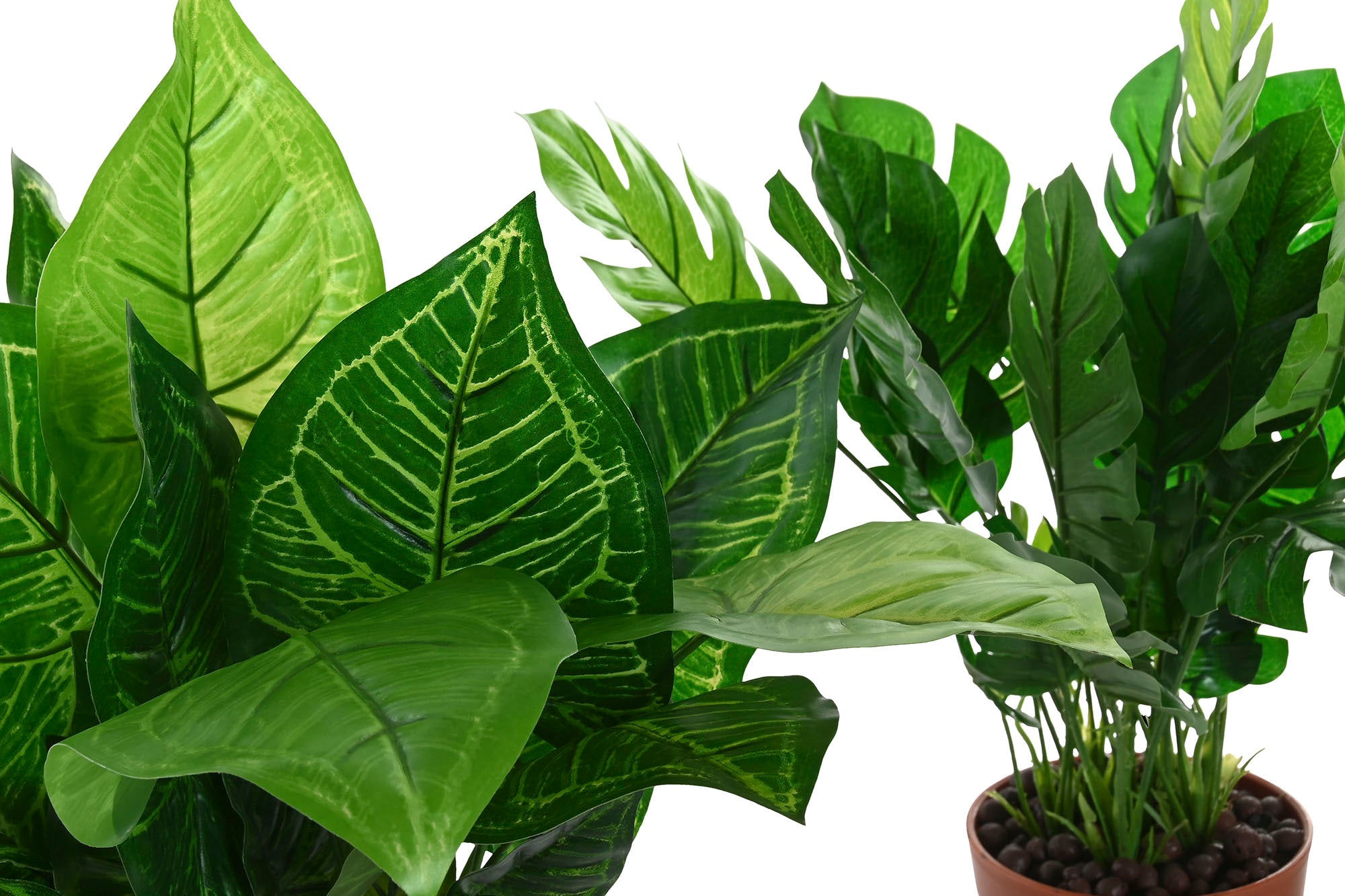 PACK DE 6 PLANTA PE 20X20X45 2 SURT.