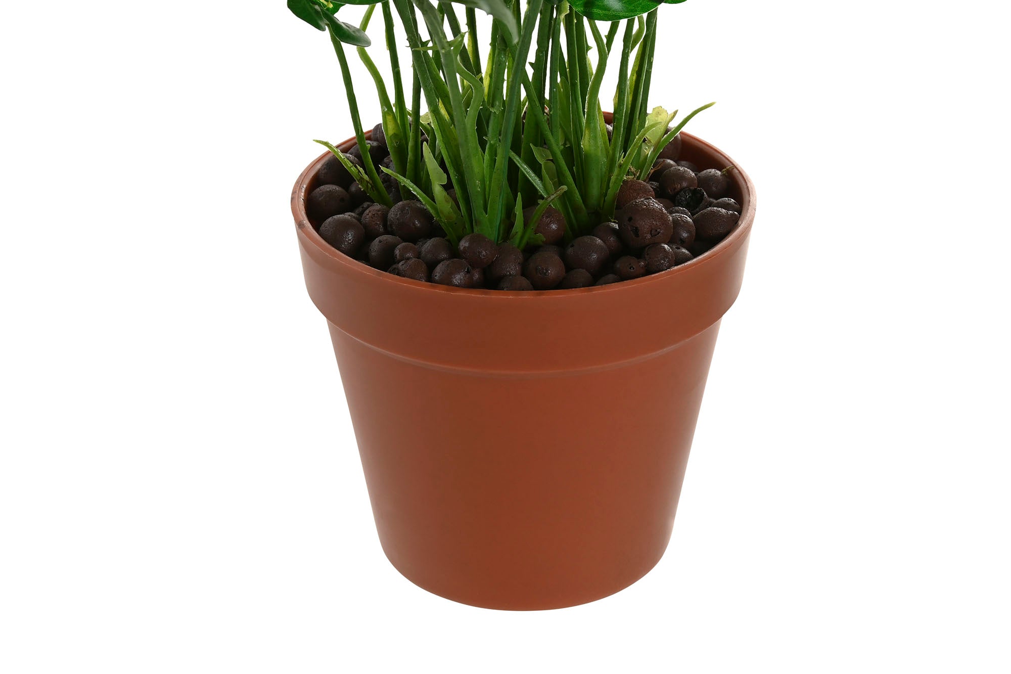 PACK DE 6 PLANTA PE 20X20X45 2 SURT.