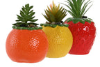 PACK DE 6 PLANTA CERAMICA PE 9X9X14 3 SURT.