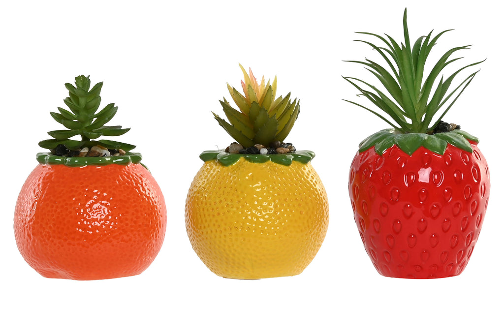 PACK DE 6 PLANTA CERAMICA PE 9X9X14 3 SURT.