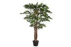 PACK DE 2 ARBOL PE MADERA 80X80X120 FICUS VERDE