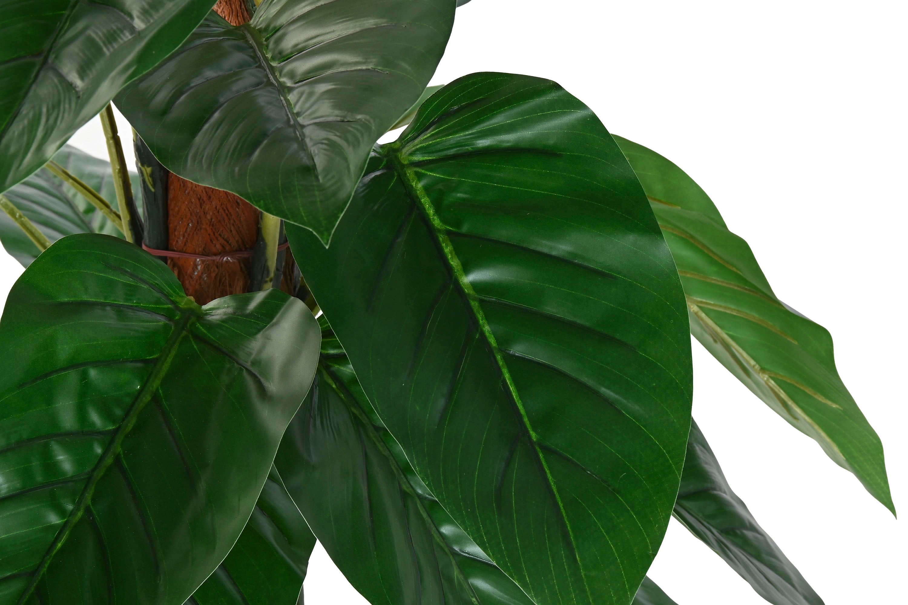 PACK DE 2 PLANTA PE FIBRA 60X60X120 FILODENDRO VERDE