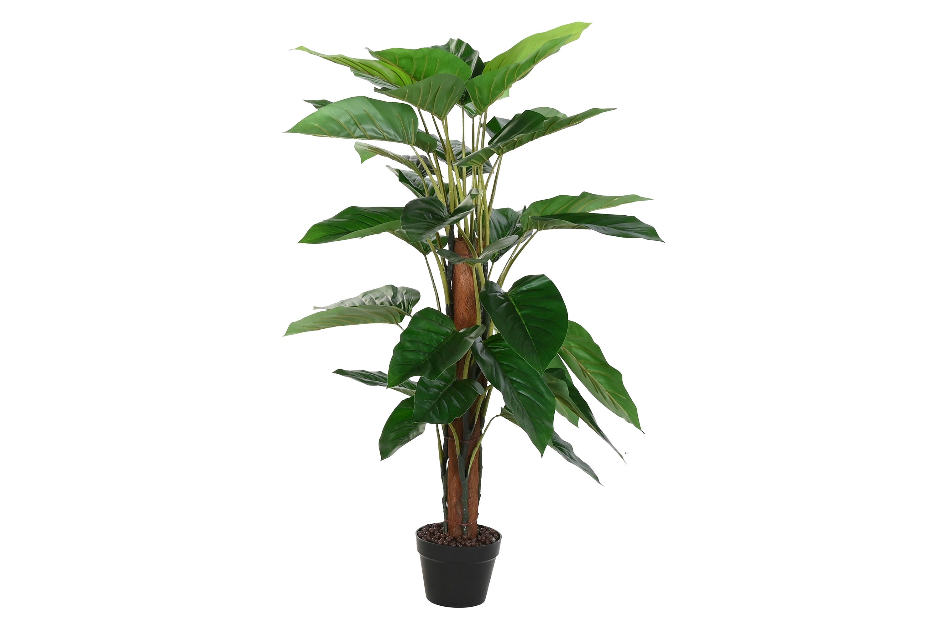 PACK DE 2 PLANTA PE FIBRA 60X60X120 FILODENDRO VERDE