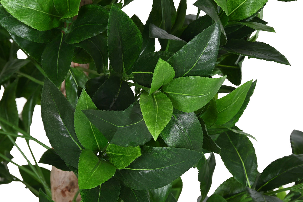 PACK DE 2 ARBOL PE MADERA 50X50X150 TOPIARIO VERDE