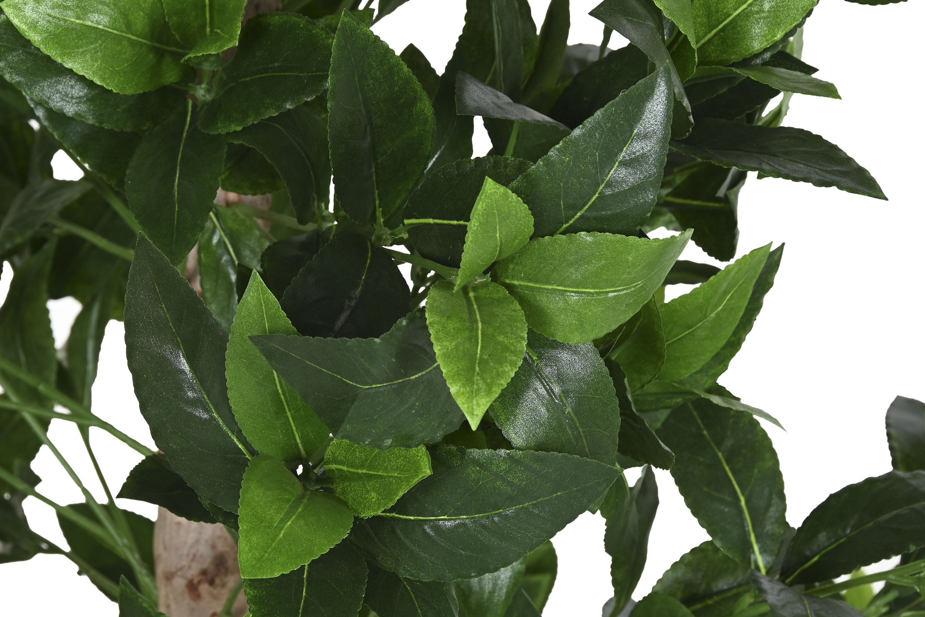 PACK DE 2 ARBOL PE MADERA 50X50X150 TOPIARIO VERDE