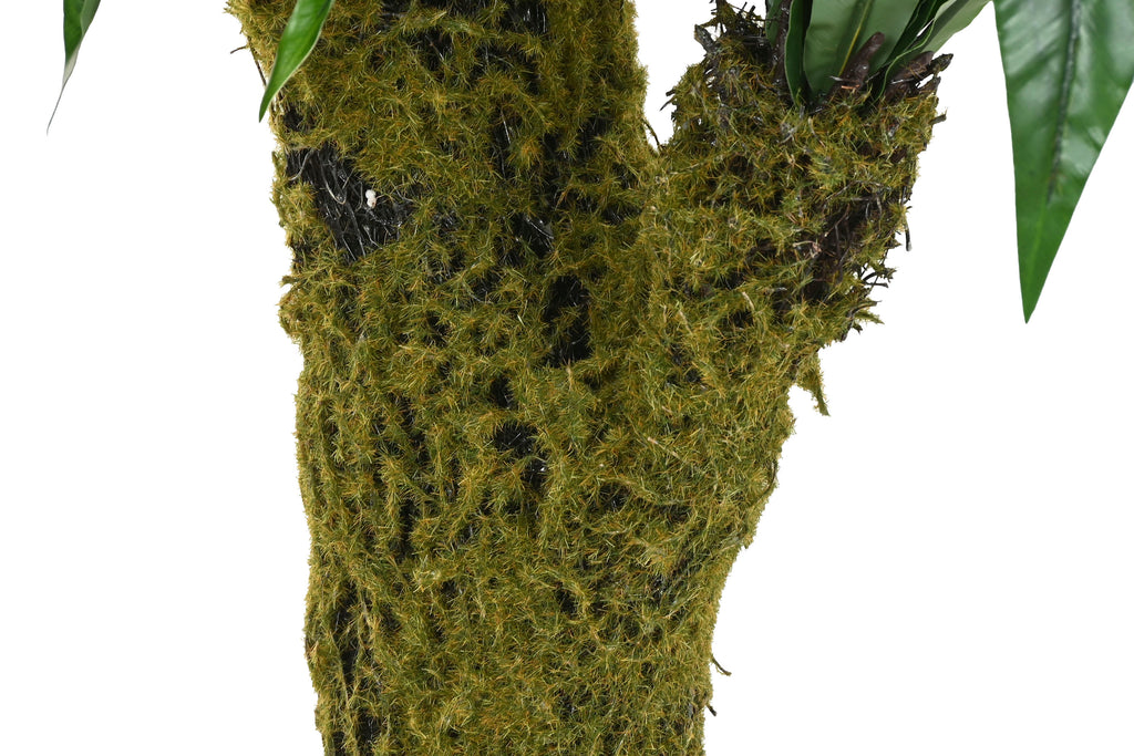 PACK DE 2 PLANTA PE 60X60X150 HELECHO VERDE