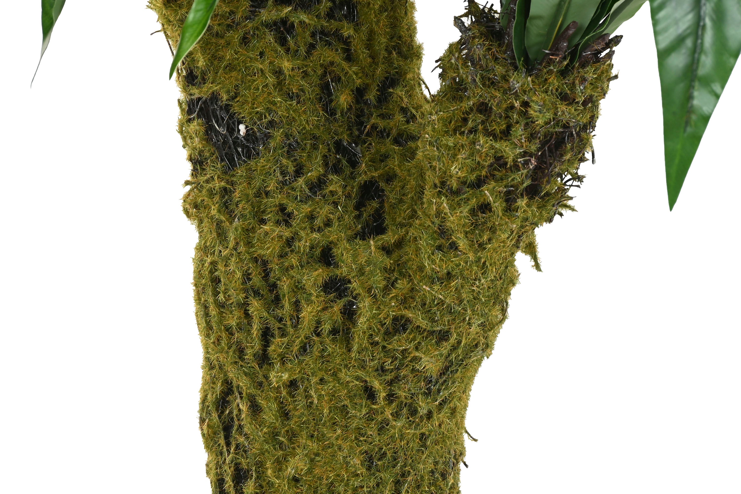 PACK DE 2 PLANTA PE 60X60X150 HELECHO VERDE