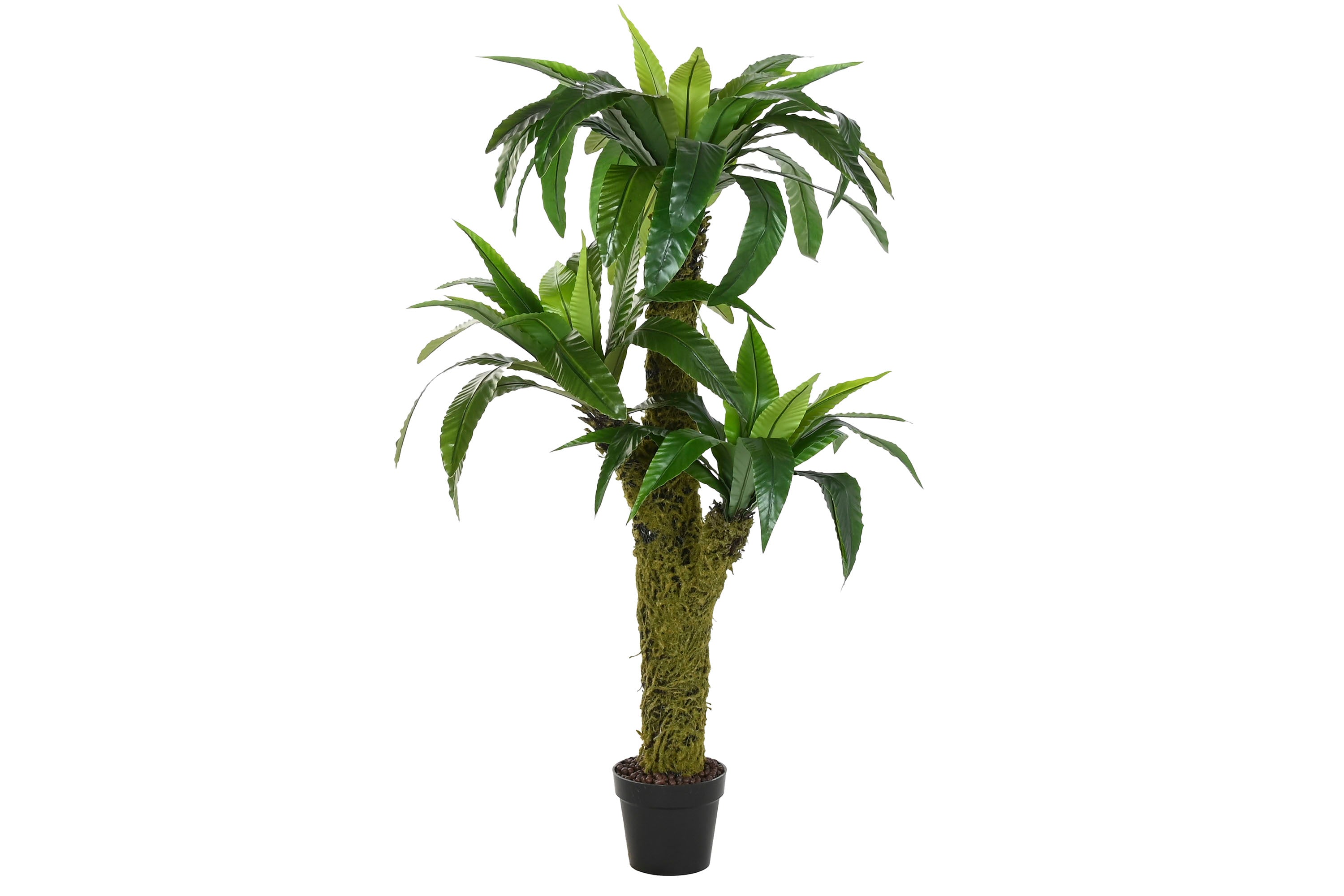 PACK DE 2 PLANTA PE 60X60X150 HELECHO VERDE