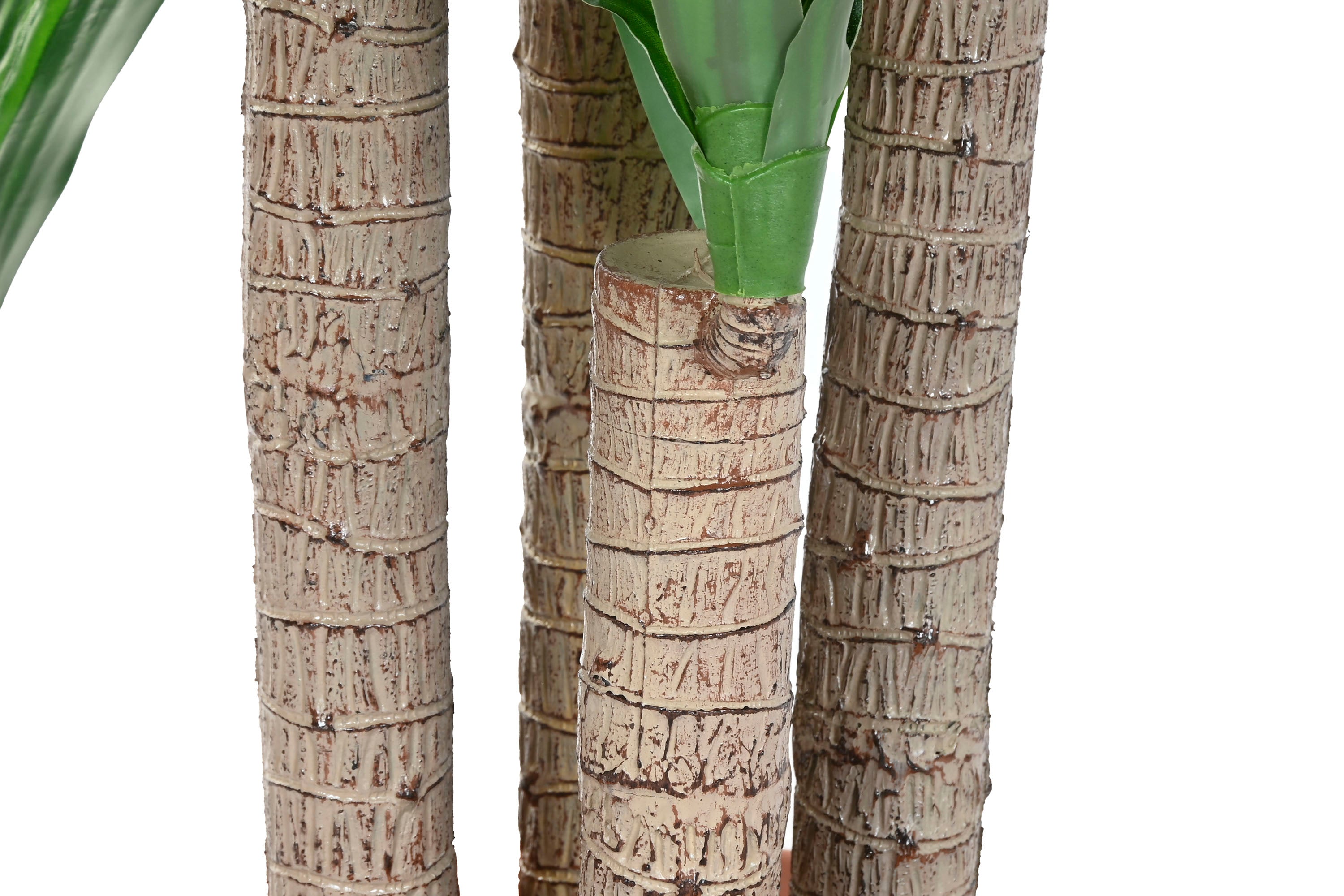 PACK DE 2 PLANTA PE 80X80X180 DRACAENA VERDE
