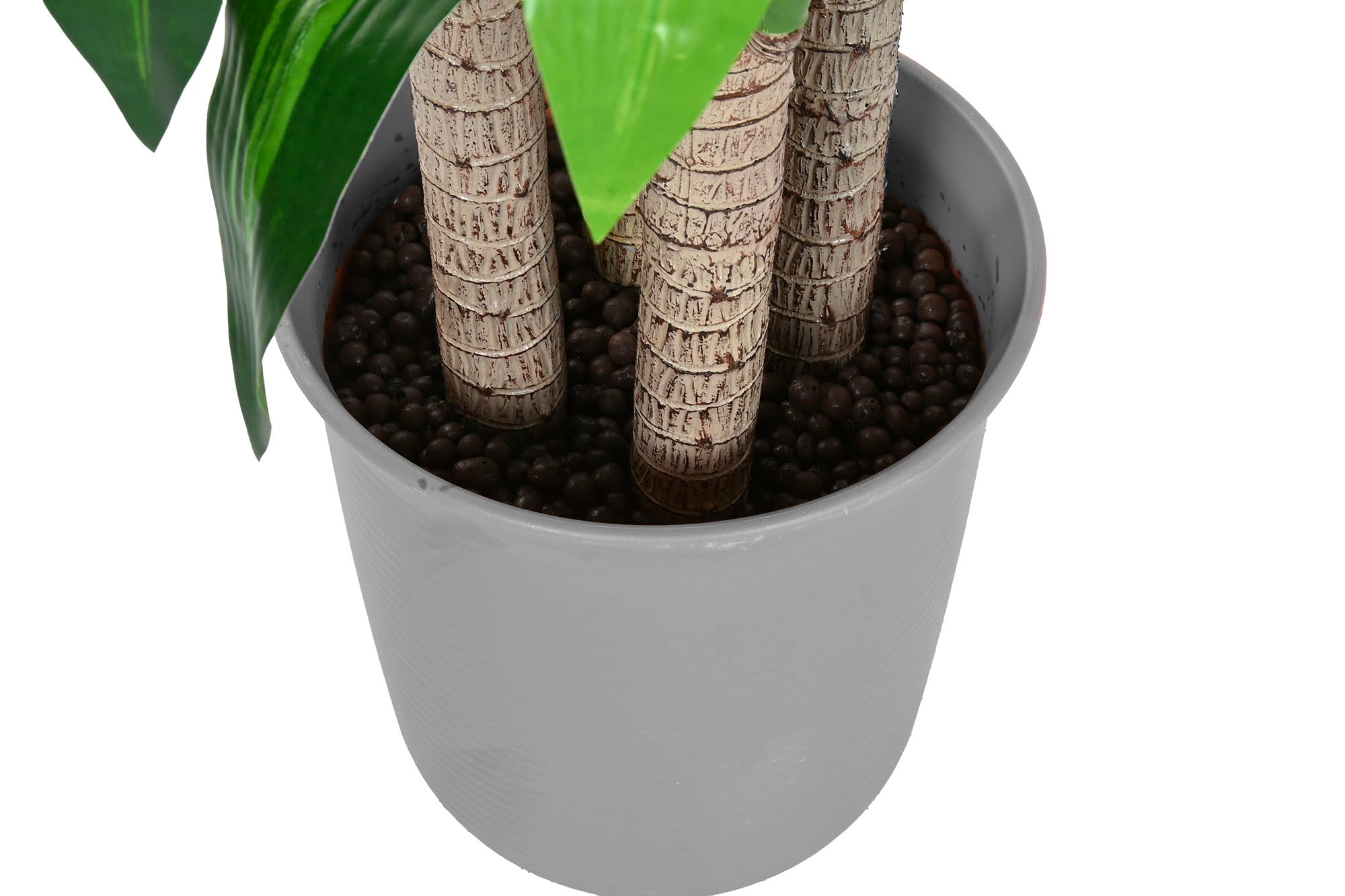 PACK DE 2 PLANTA PE 80X80X180 DRACAENA VERDE