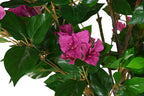 PACK DE 2 ARBOL PE 80X80X190 BUGANVILLA FUCSIA