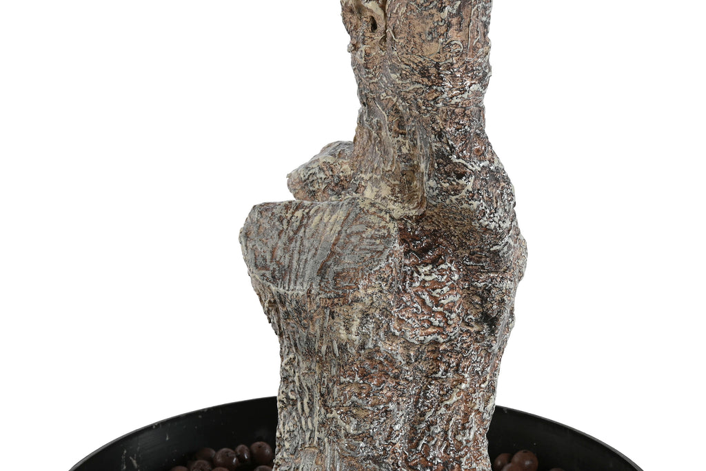 PACK DE 2 ARBOL PE 80X80X190 BUGANVILLA FUCSIA