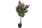 PACK DE 2 ARBOL PE 80X80X190 BUGANVILLA FUCSIA