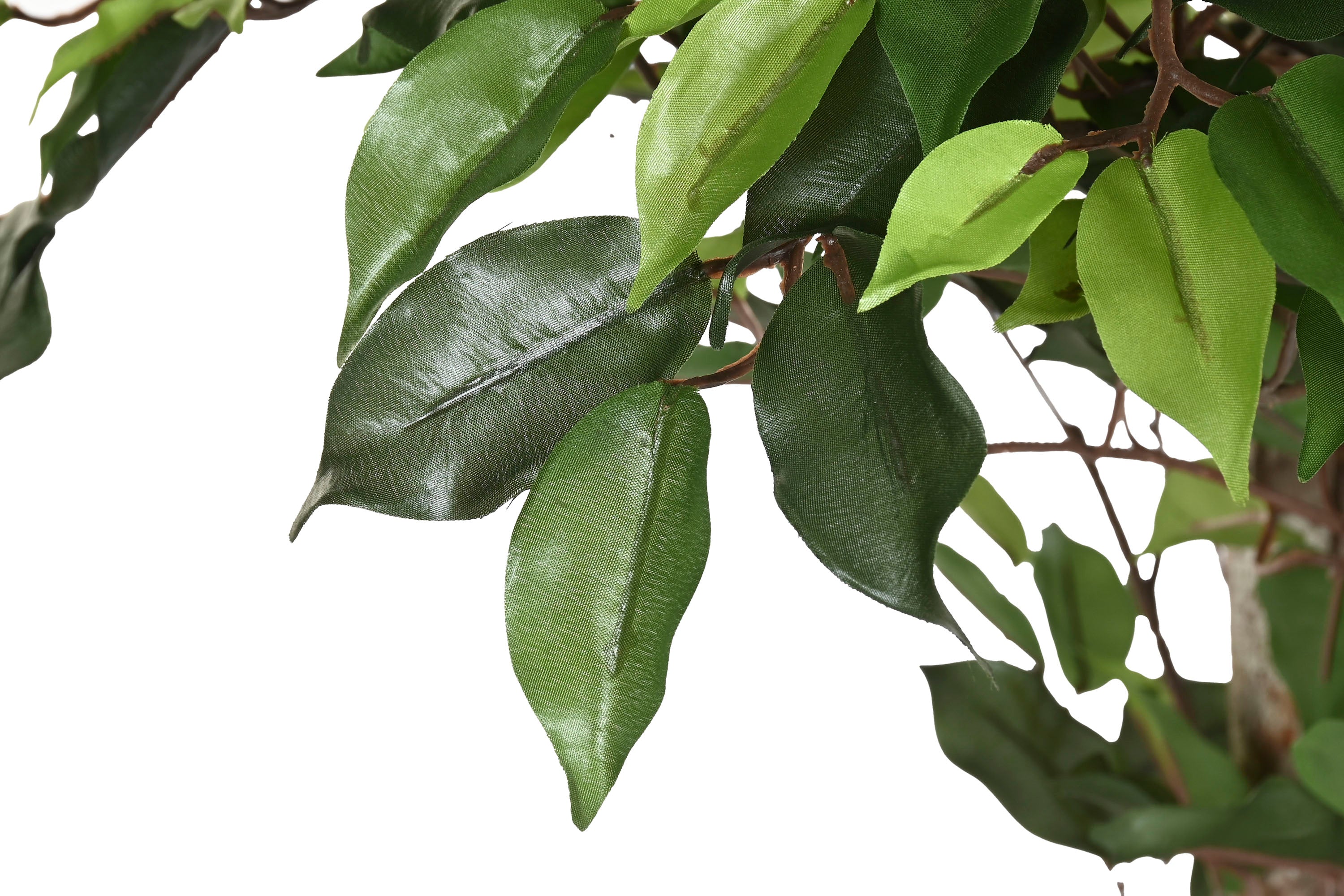 PACK DE 2 ARBOL PE MADERA 100X100X210 FICUS VERDE