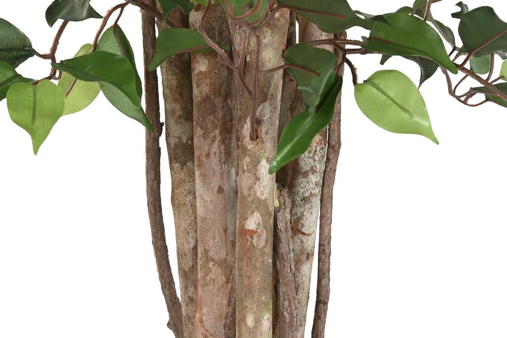 PACK DE 2 ARBOL PE MADERA 100X100X210 FICUS VERDE