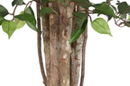 PACK DE 2 ARBOL PE MADERA 100X100X210 FICUS VERDE