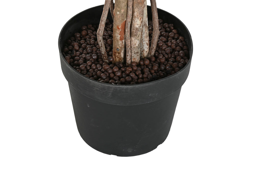 PACK DE 2 ARBOL PE MADERA 100X100X210 FICUS VERDE