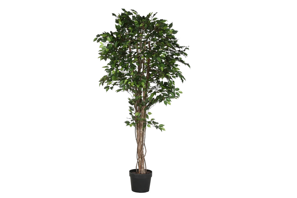 PACK DE 2 ARBOL PE MADERA 100X100X210 FICUS VERDE