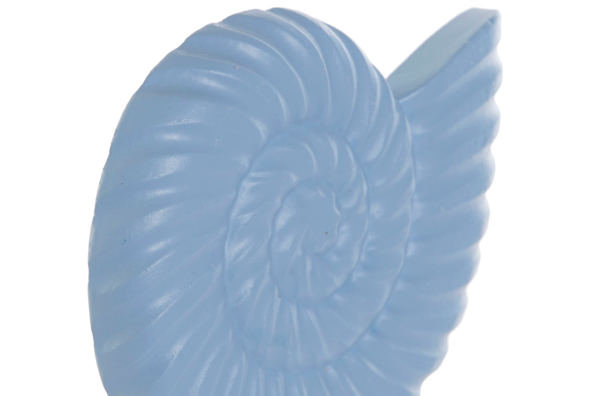 DECORACION RESINA 20X9X32 CONCHA AZUL CELESTE - Imagen 2