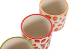 MACETERO SET 2 CERAMICA 13,5X13,5X15 FRUTAS 3 SURT - Imagen 1
